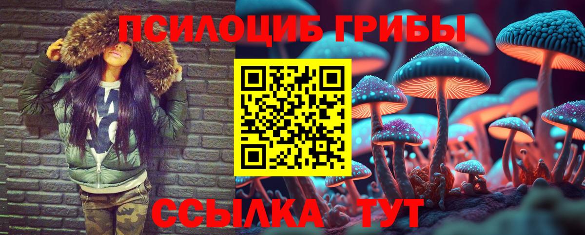 Псилоцибиновые грибы Psilocybe  Вход с VPN  Новоалександровск  Галлюциногенные грибы ЛСД 